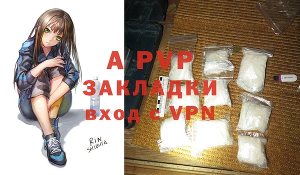 стафф Богородицк