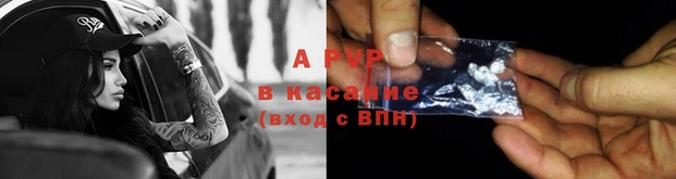 стафф Богородицк