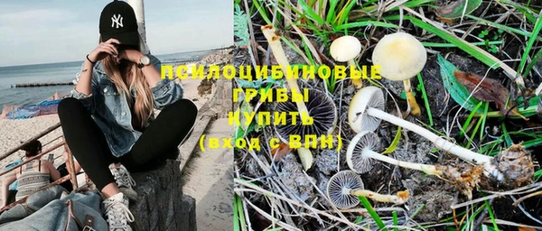 синтетический гашиш Богородск